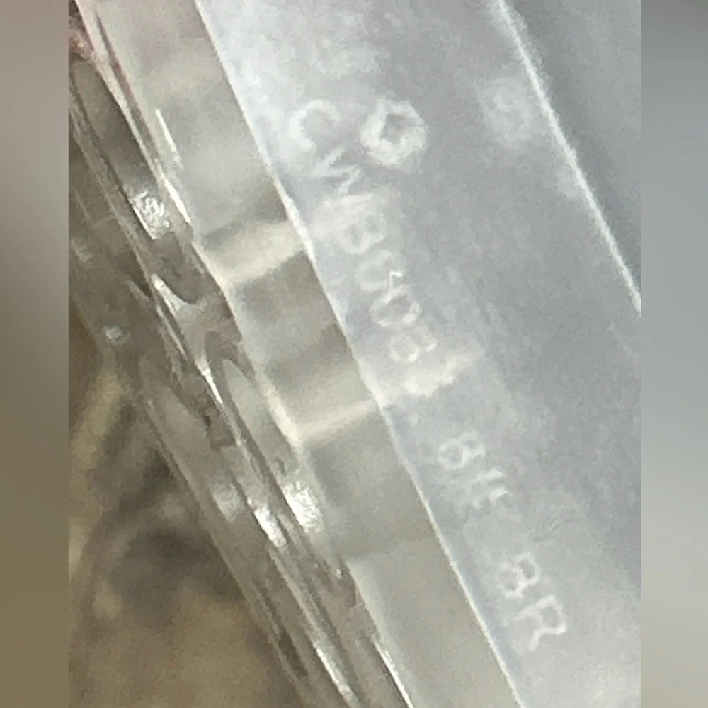 Coach size clear slides